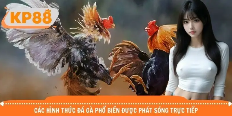 Các hình thức chọi kê phổ biến phát sóng trực tiếp tại nền tảng