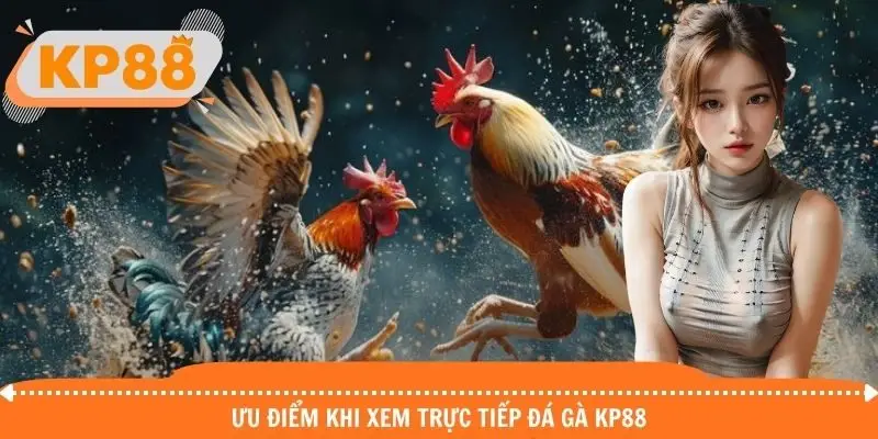 Ưu điểm thu hút người xem trực tiếp đá gà KP88